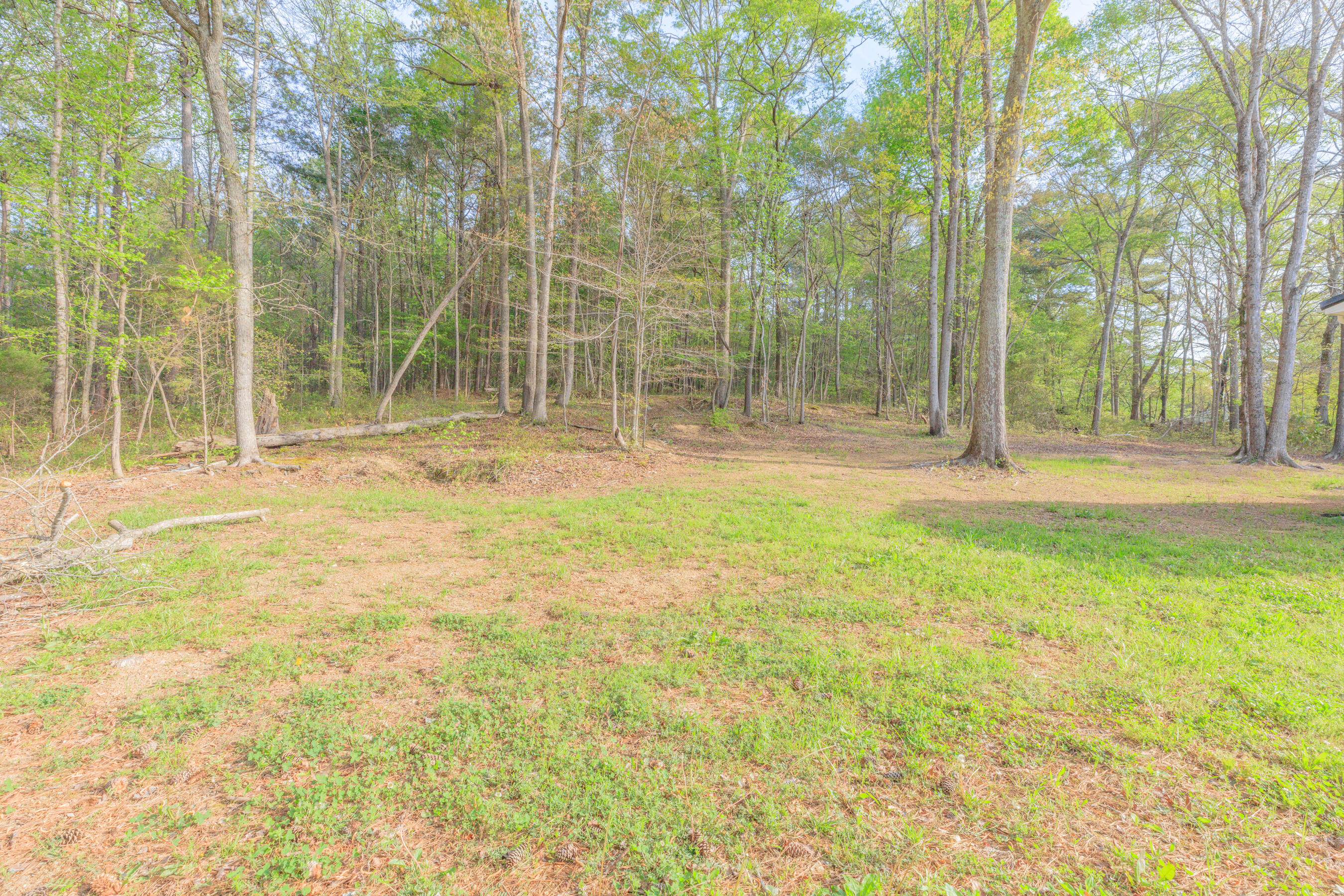 102 Bandy Road LaFayette, GA 30728 - Photo 35 of 39 Front yard