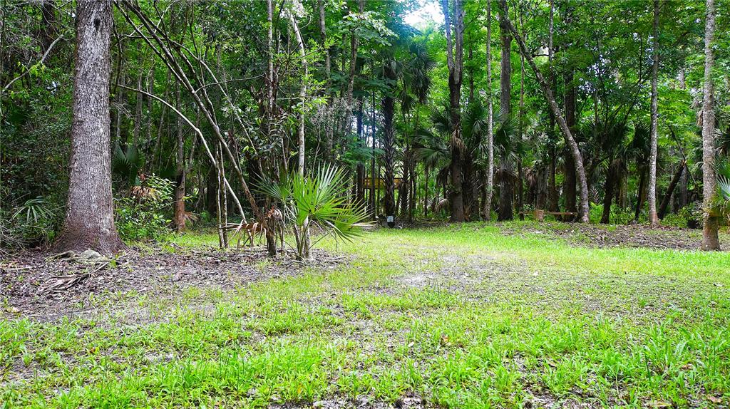 Volco Road Edgewater, FL 32141 - Photo 5 of 17