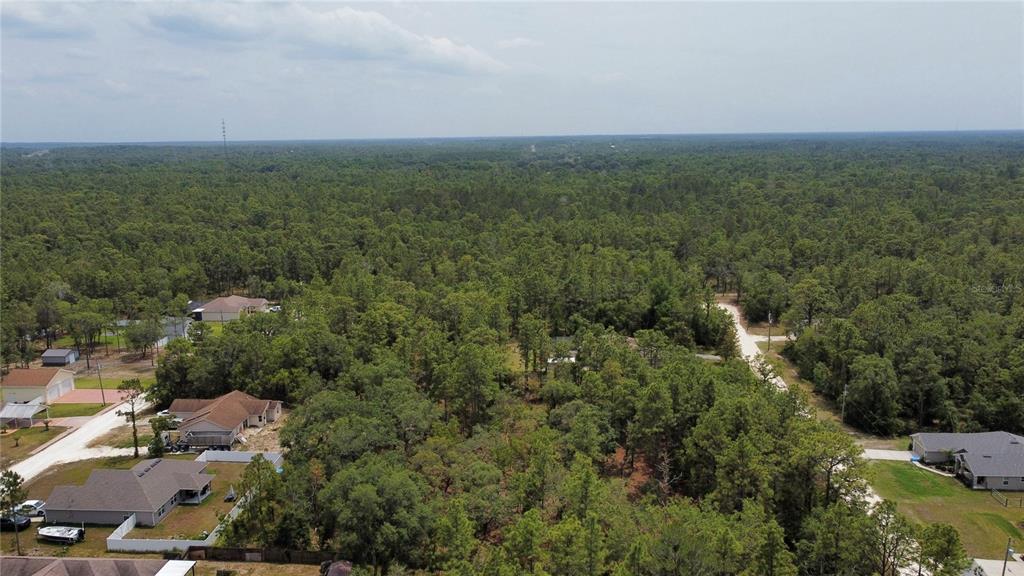 13486 English Sparrow Road Weeki Wachee, FL 34614 - Photo 49 of 51