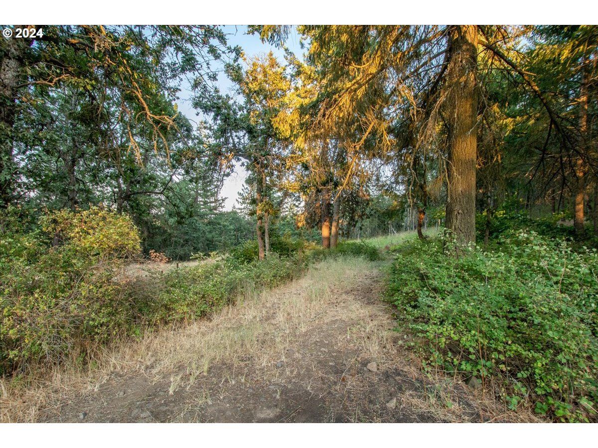 6675 Halliburton Road The Dalles, OR 97058 - Photo 41 of 44 Gallery Image 41