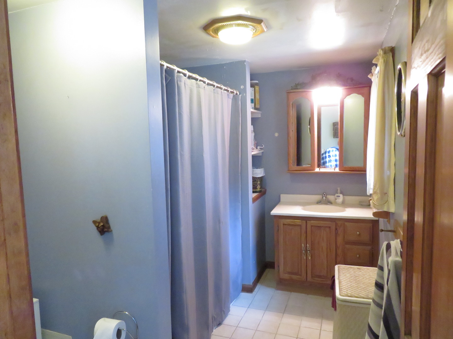 260 West Southmor Road Morris, IL 60450 - Photo 10 of 35 a bathroom with a sink a toilet and mirror
