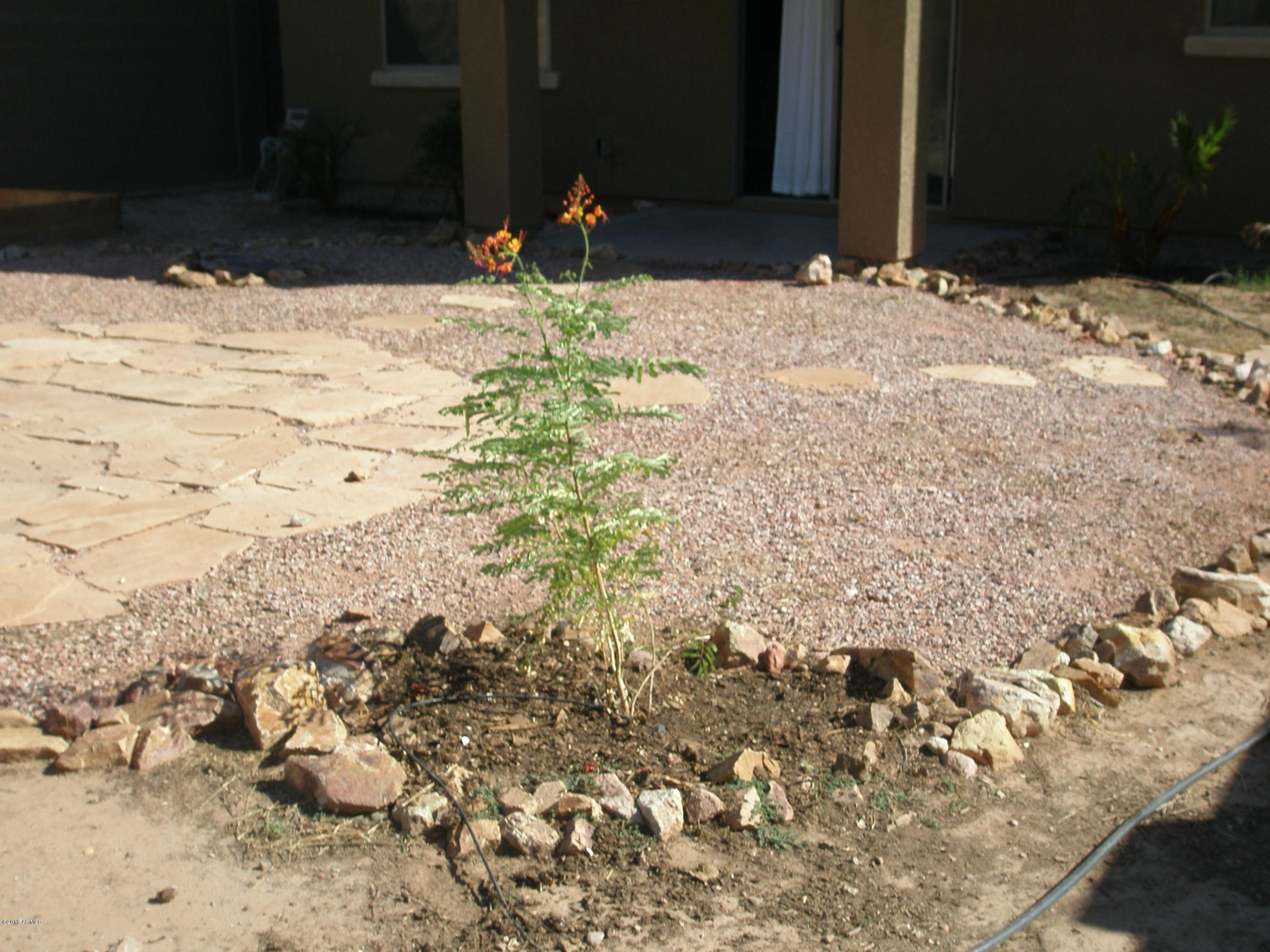 2558 West Gaby Road Phoenix, AZ 85041 - Photo 46 of 57 P1010061