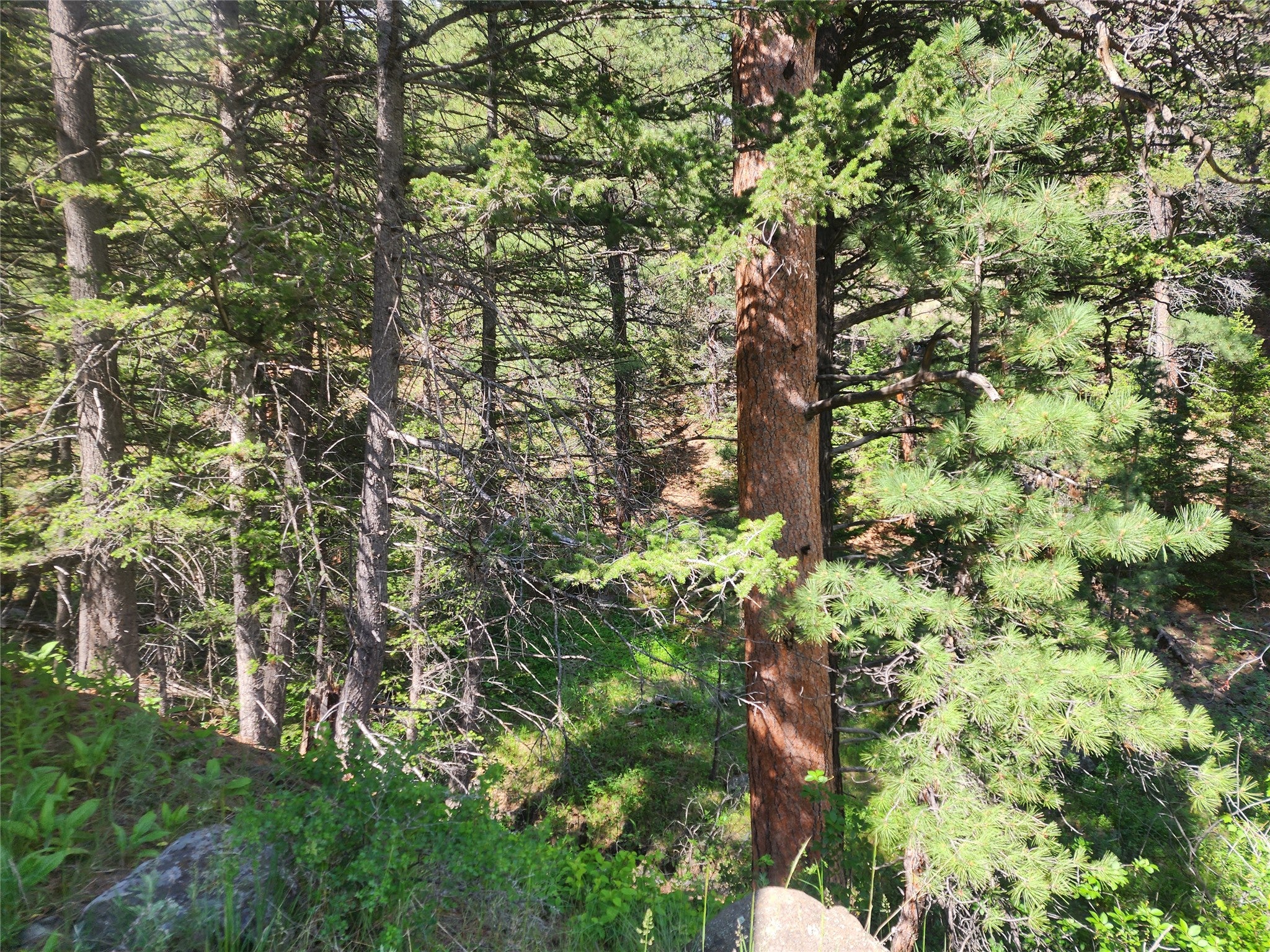37 Outer Loop Road Cascade, MT 59421 - Photo 14 of 22 Gallery Image 14