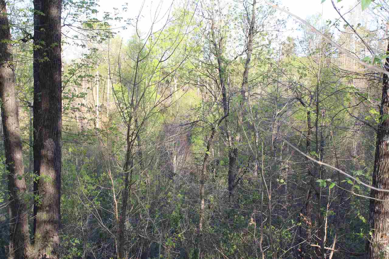 2188 Union Light Road Mammoth Cave, KY 42259 - Photo 13 of 22 Gallery Image 13