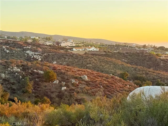 a view of a forest with a mountain