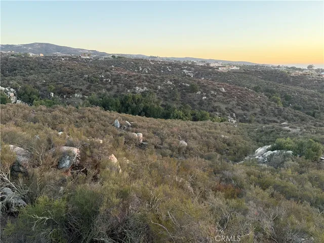 a view of a tree with a yard