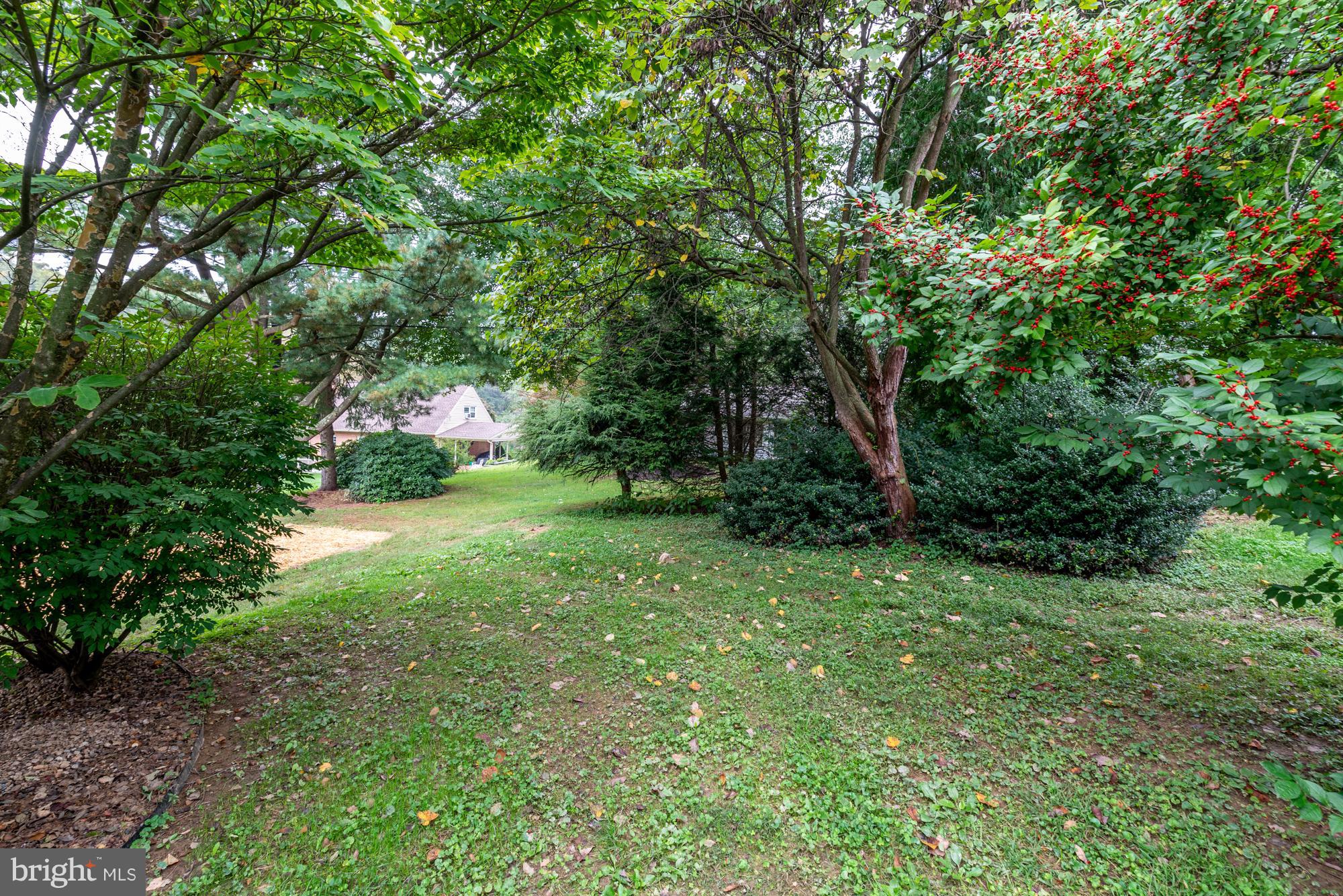 554 Abbeyville Road Lancaster, PA 17603 - Photo 28 of 29 Rear Yard