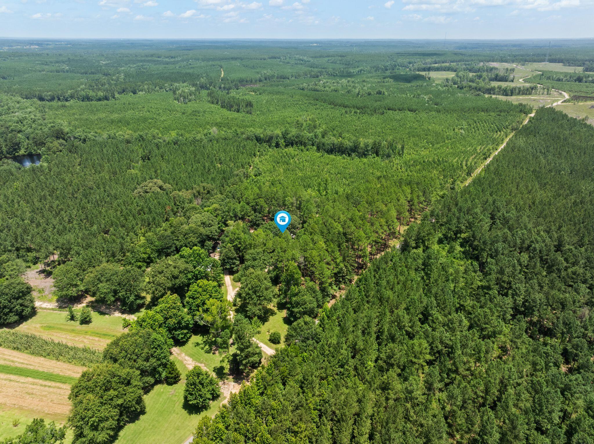 641 Lookout Tower Road Purvis, MS 39475 - Photo 58 of 62 Gallery Image 58
