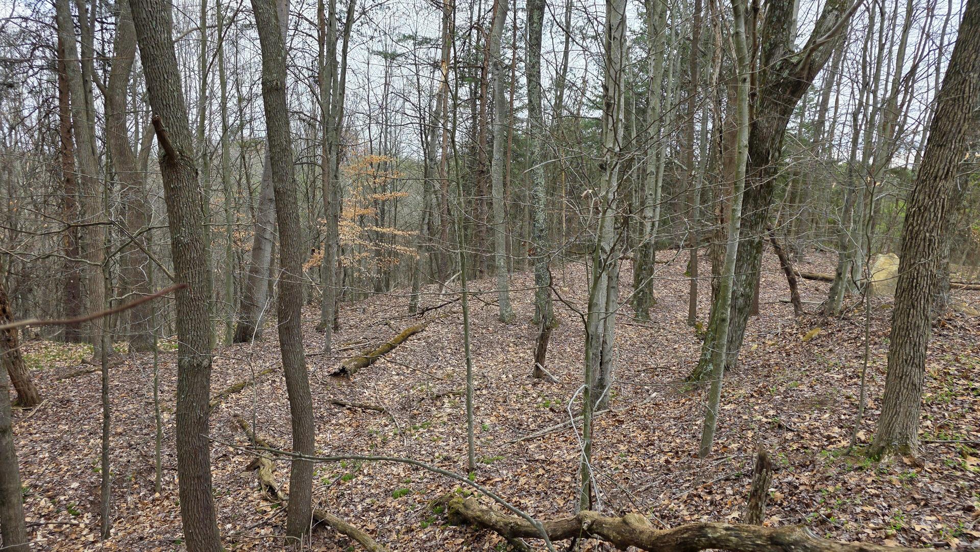 818 Campaign Poplar Road, Unit PONDS POPLAR RIDGE TRACT 4) Gallipolis, OH 45631 - Photo 20 of 24 CT-20