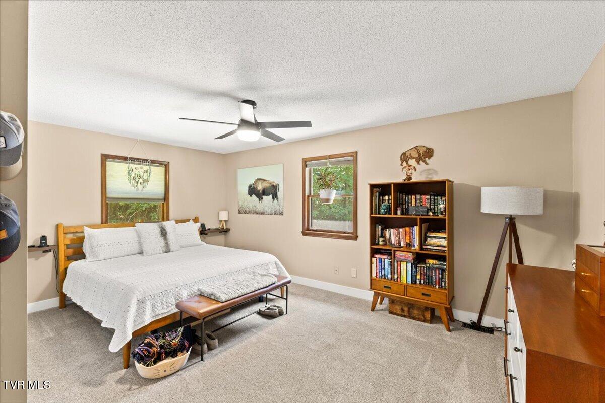 770 Copperhead Road Elizabethton, TN 37643 - Photo 45 of 66 41-128A2919