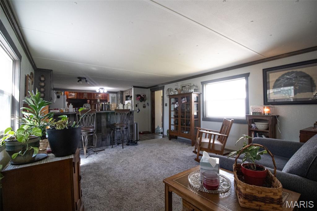 1297 Southeast 879 Pvt Road Deepwater, MO 64740 - Photo 36 of 51