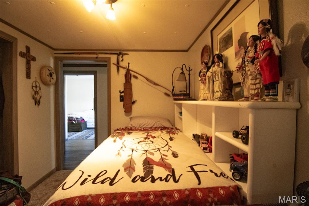 1297 Southeast 879 Pvt Road Deepwater, MO 64740 - Photo 44 of 51