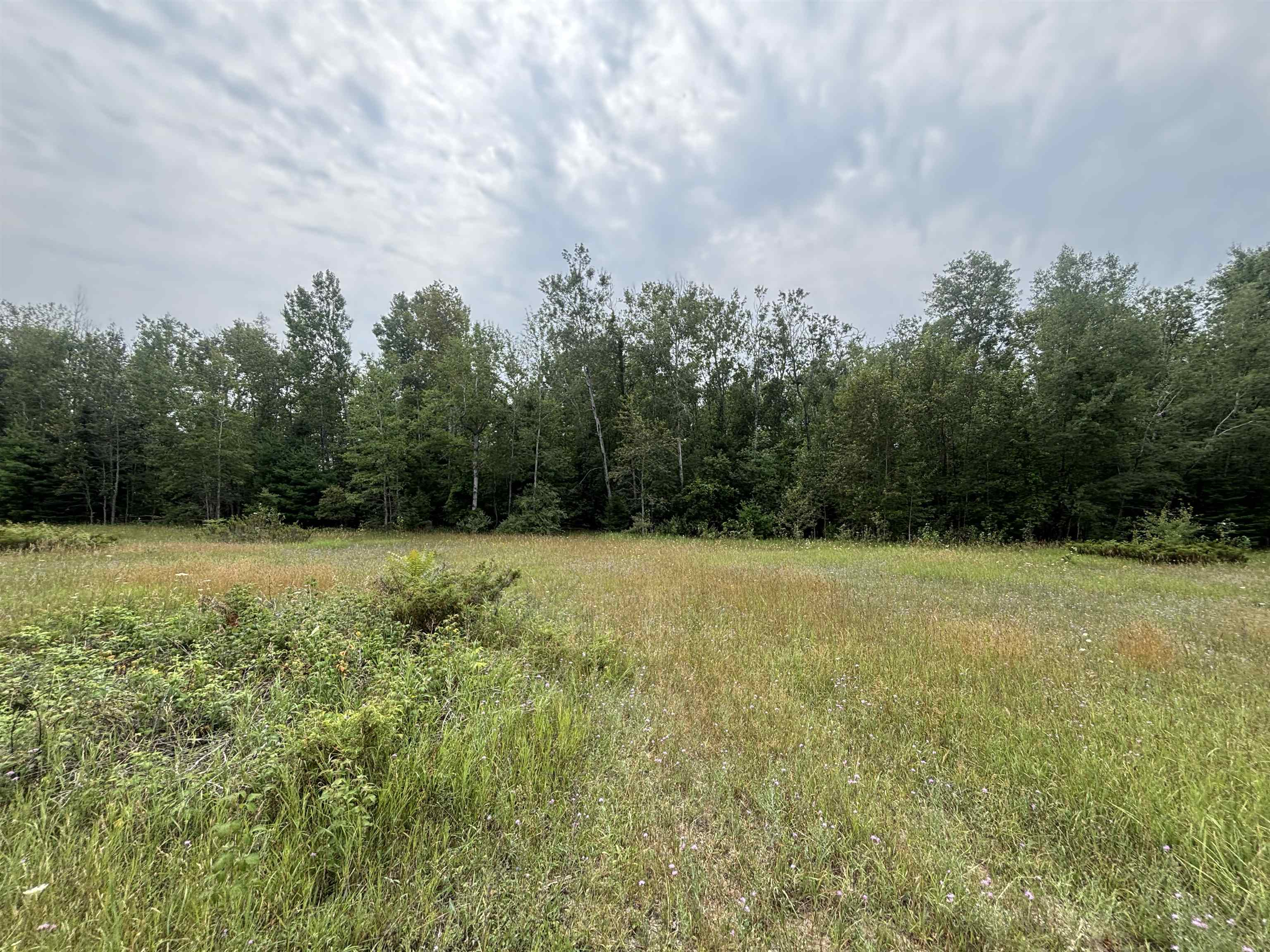 0 Lore Road Ellsworth, MI 49729 - Photo 14 of 15 1948813-82dfa190-e77e-4f4a-91ca-15954f9769fe.JPG