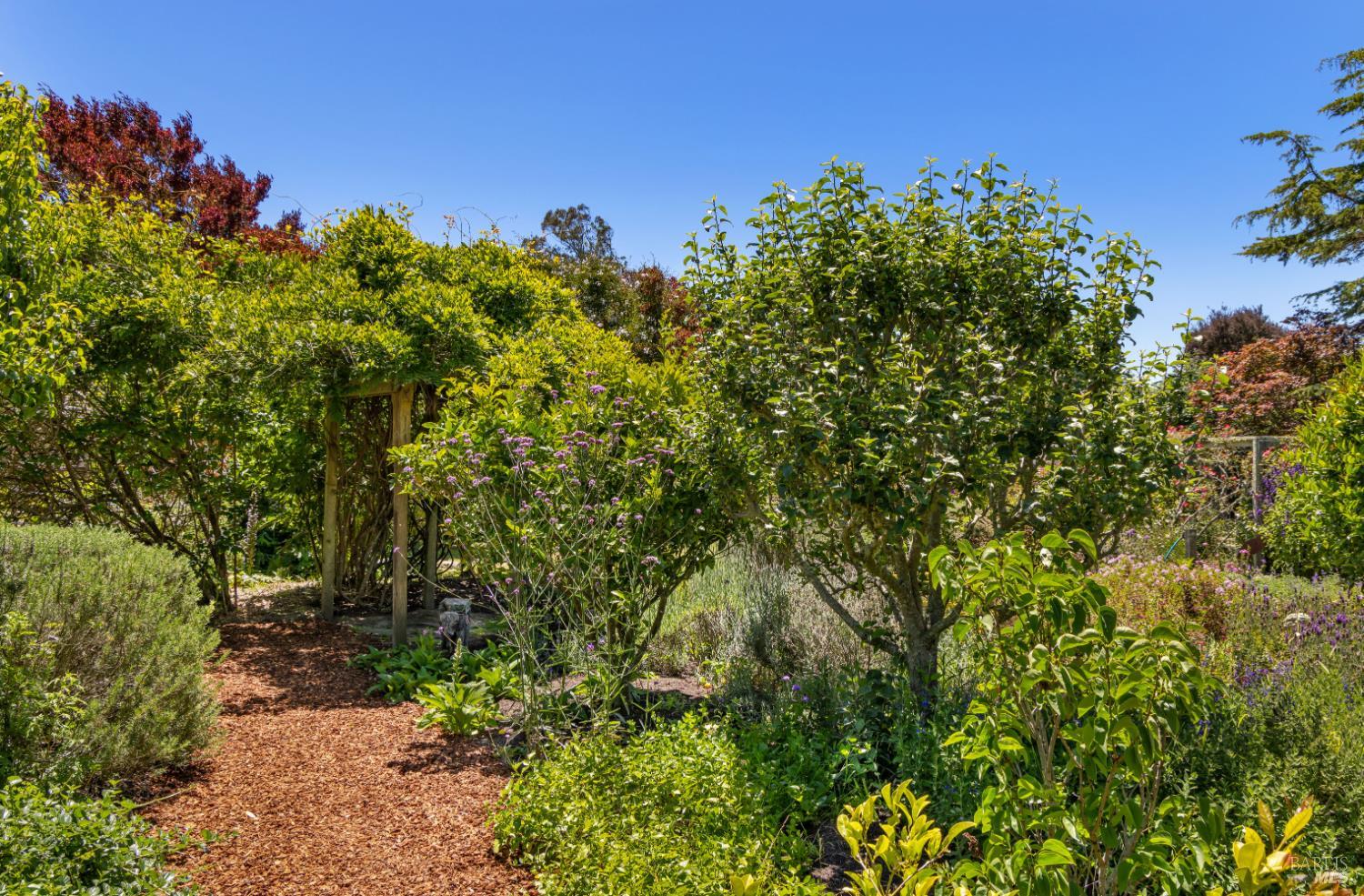 385 Cedar Road Bolinas, CA 94924 - Photo 55 of 70