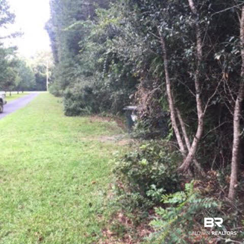 0 Bruhn Road Elberta, AL 36530 - Photo 2 of 7
