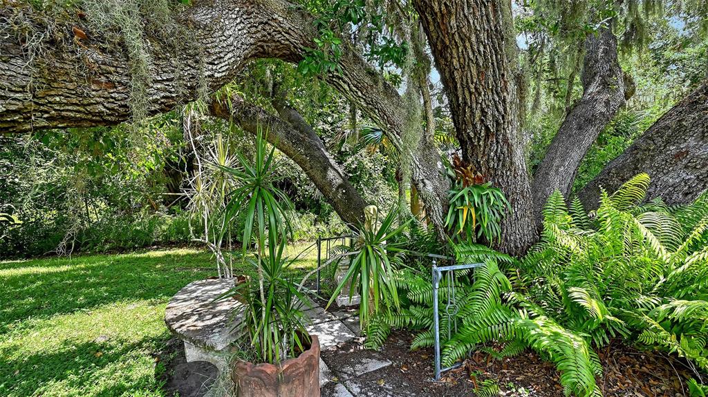 3012 Desoto Road Sarasota, FL 34234 - Photo 71 of 78 a backyard of a house with lots of green space