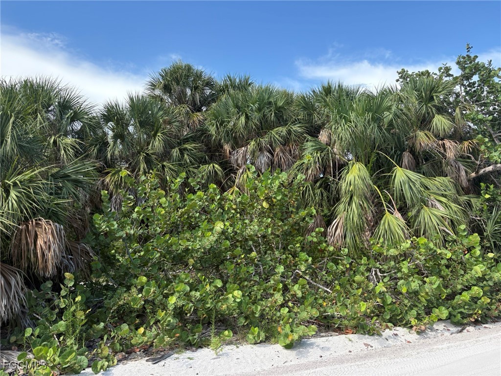 4490 Conch Shell Drive Captiva, FL 33924 - Photo 18 of 32 a view of a yard with plants and a tree