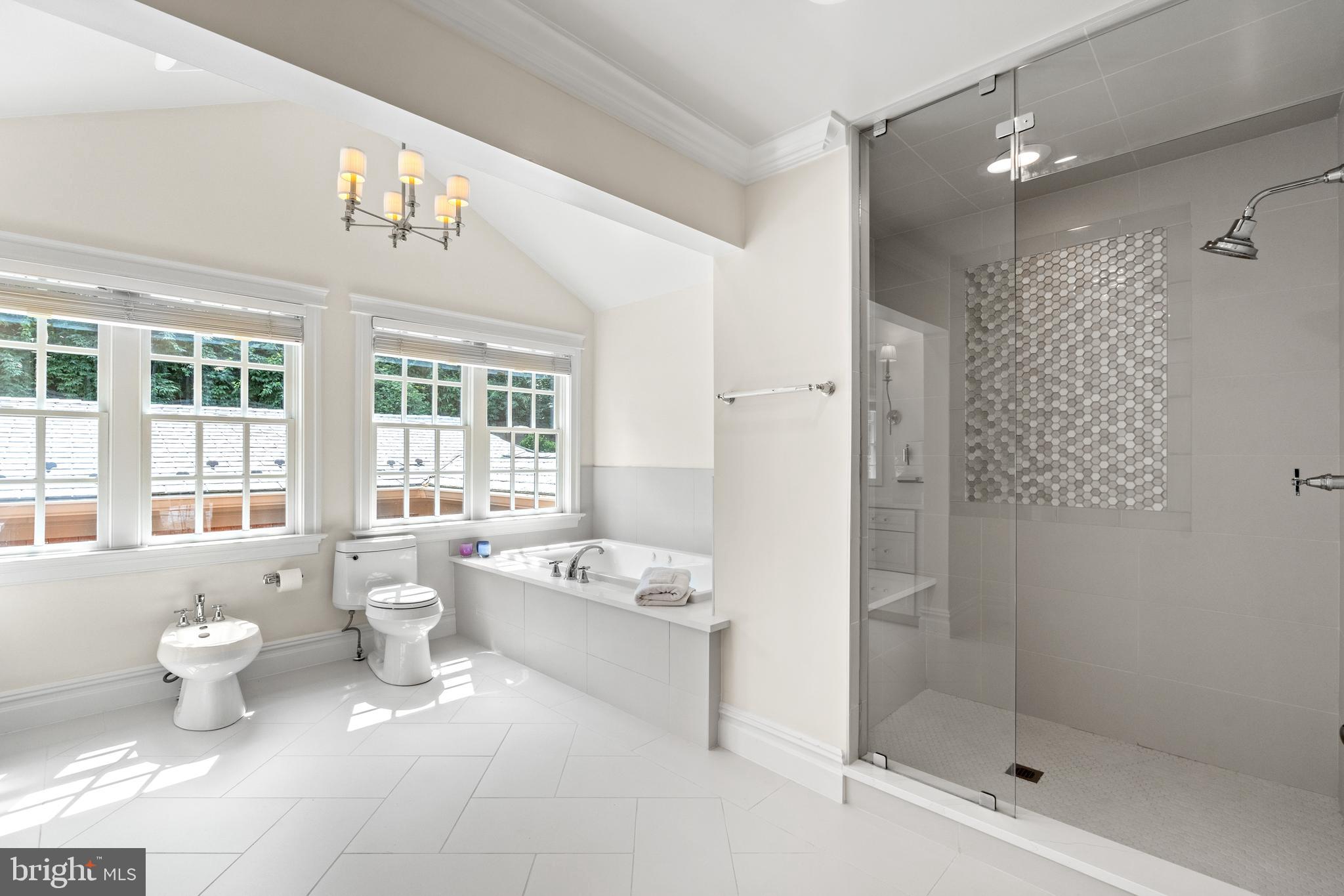 3107 Russell Road Alexandria, VA 22305 - Photo 44 of 90 Luxury- Primary Suite Bathroom