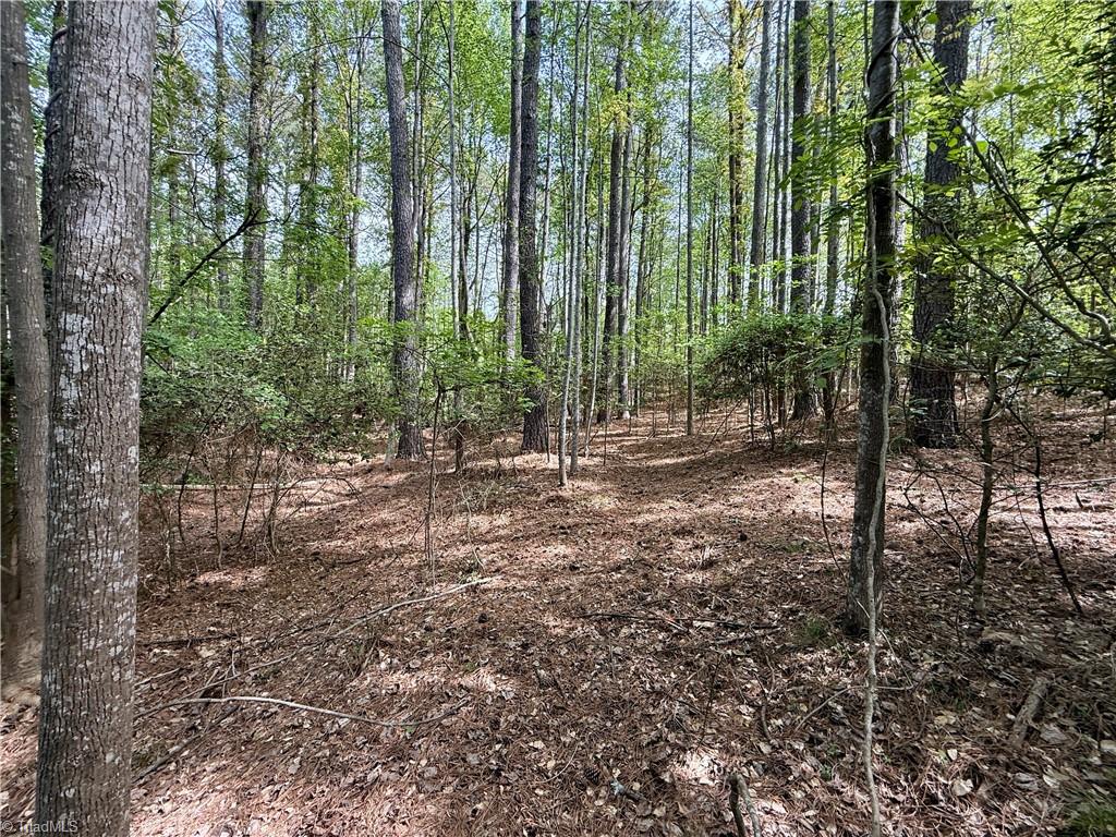 161 Greens Road Granite Falls, NC 28630 - Photo 9 of 38