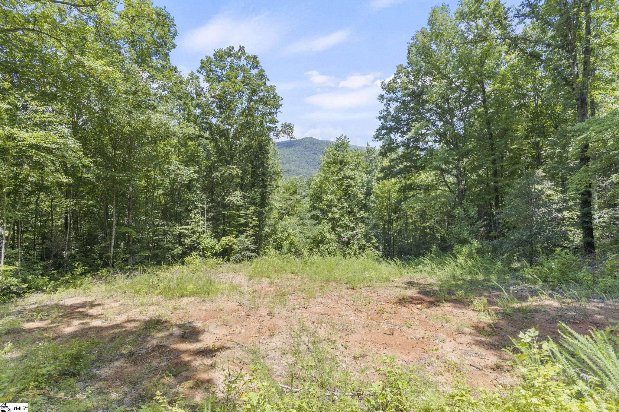 454 Gap Creek Road Marietta, SC 29661 - Photo 8 of 20 Gallery Image 8