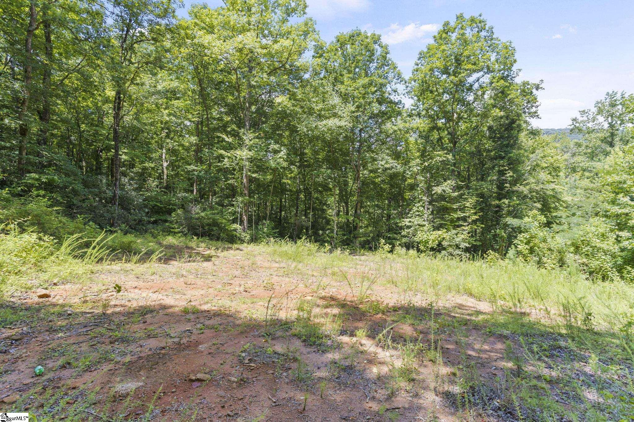454 Gap Creek Road Marietta, SC 29661 - Photo 9 of 20 Gallery Image 9