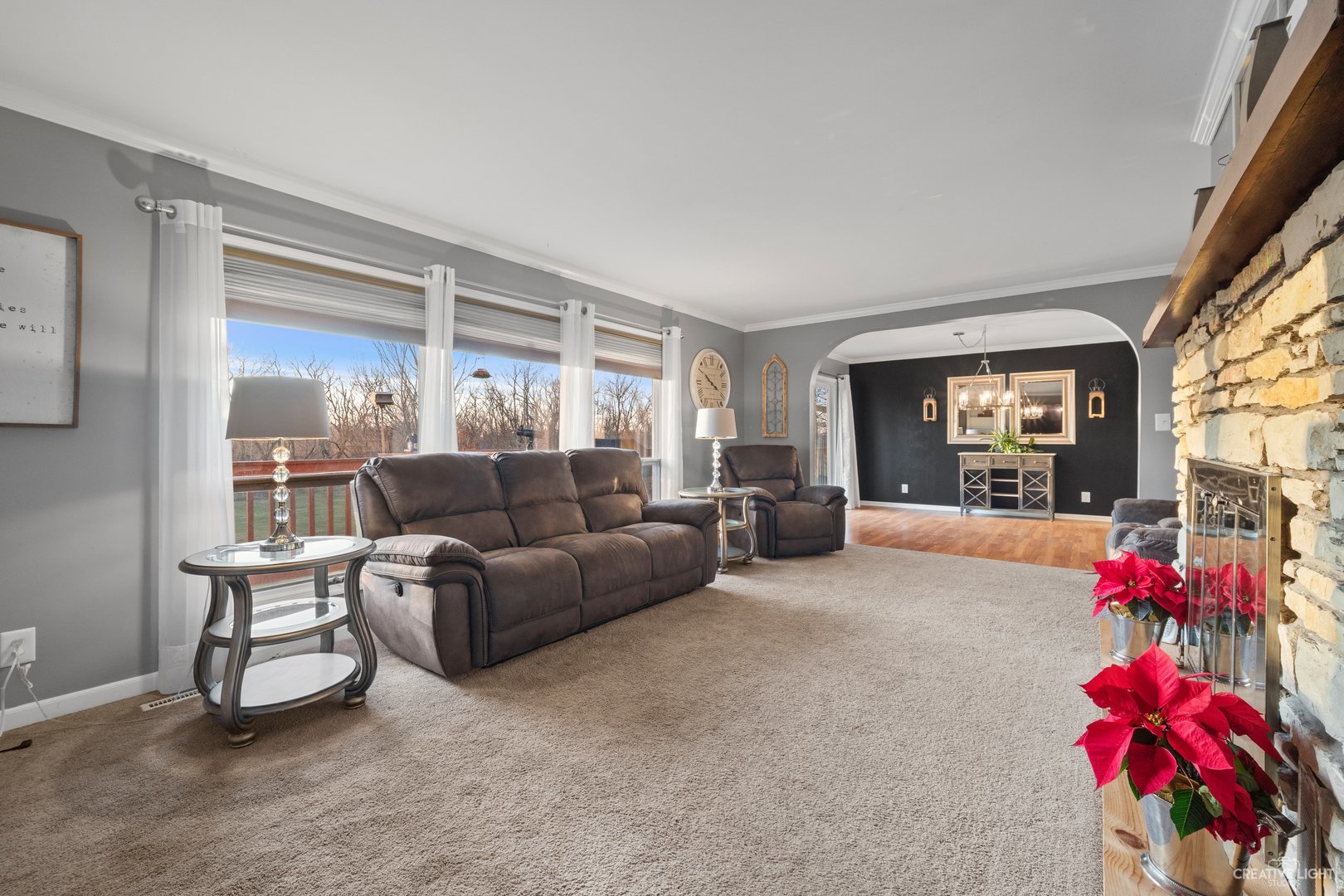 4S064 Thornapple Tree Road Sugar Grove, IL 60554 - Photo 14 of 39 a living room with furniture and a potted plant