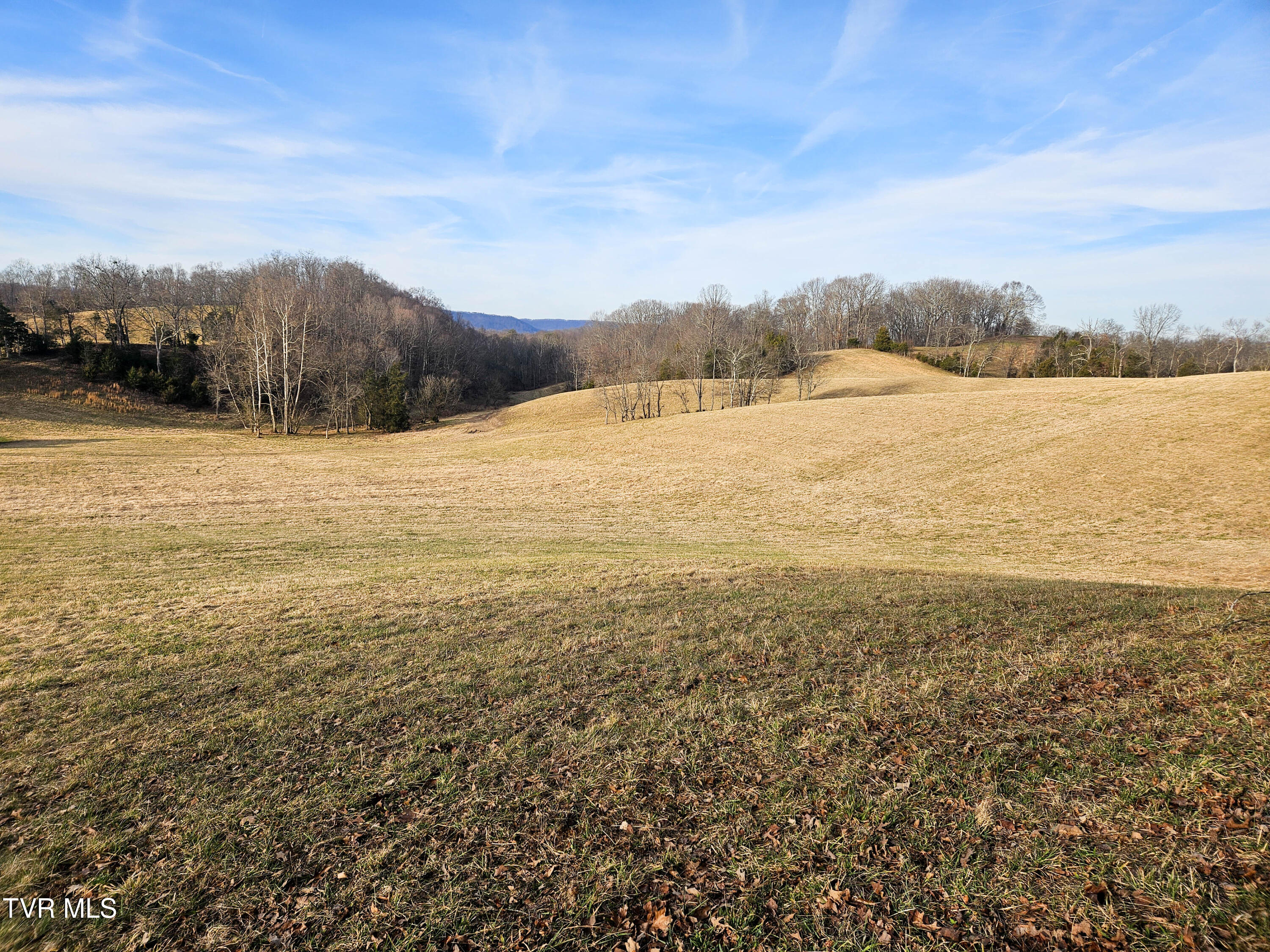 760 Church Road Fall Branch, TN 37656 - Photo 44 of 49 20260105_155102