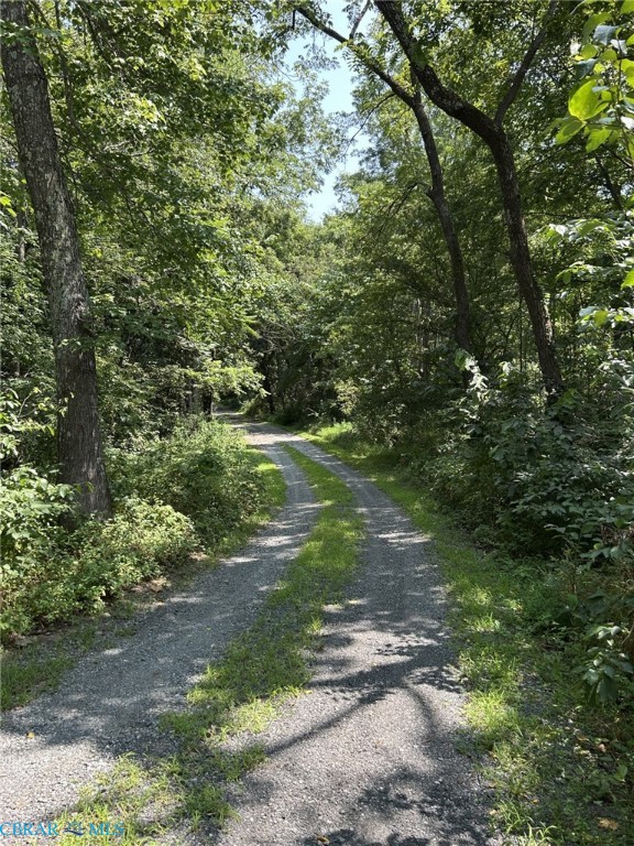 136 Wolftown-Hood Road Hood, VA 22723 - Photo 22 of 22
