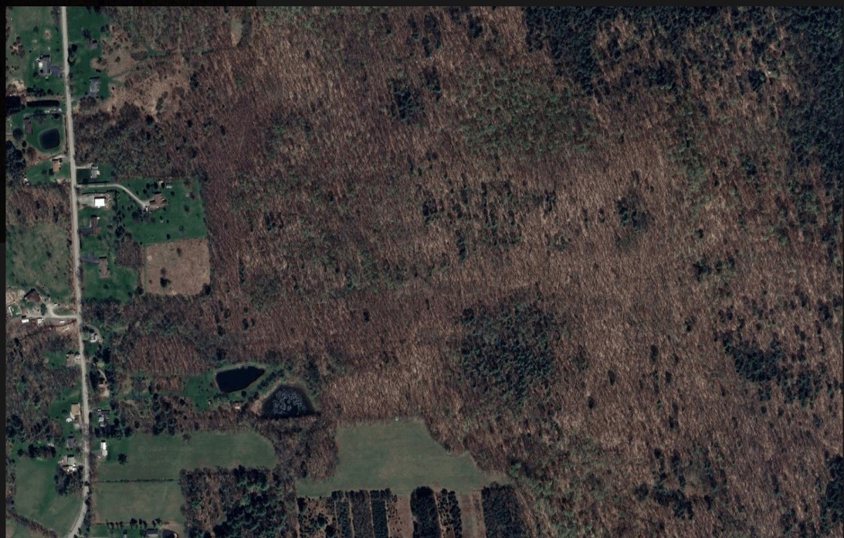 56 Treadwell Road Binghamton, NY 13905 - Photo 2 of 8 Gallery Image 2