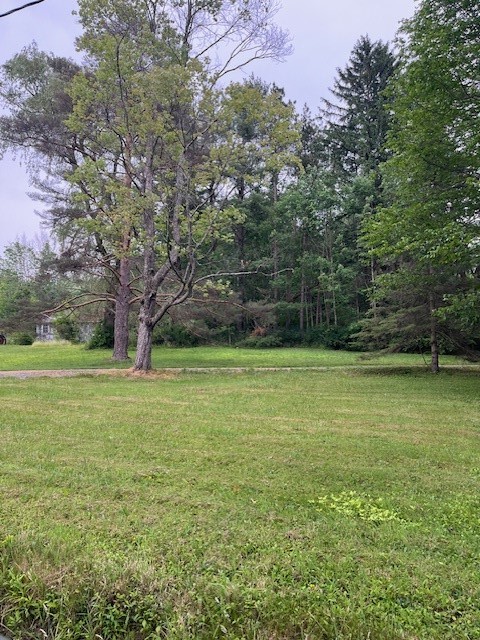 56 Treadwell Road Binghamton, NY 13905 - Photo 3 of 8 Gallery Image 3