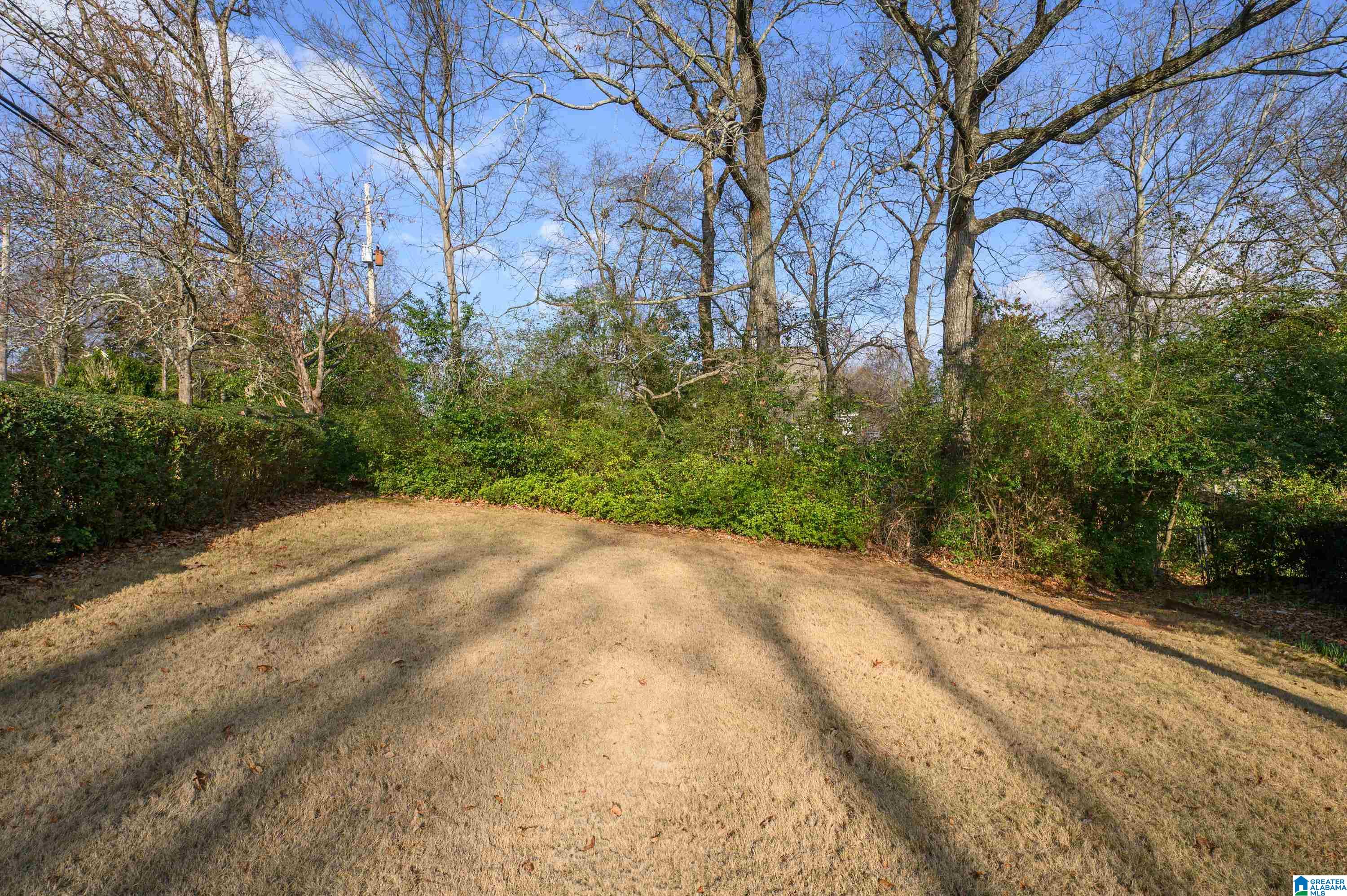 2710 Shades Crest Road Birmingham, AL 35209 - Photo 47 of 60