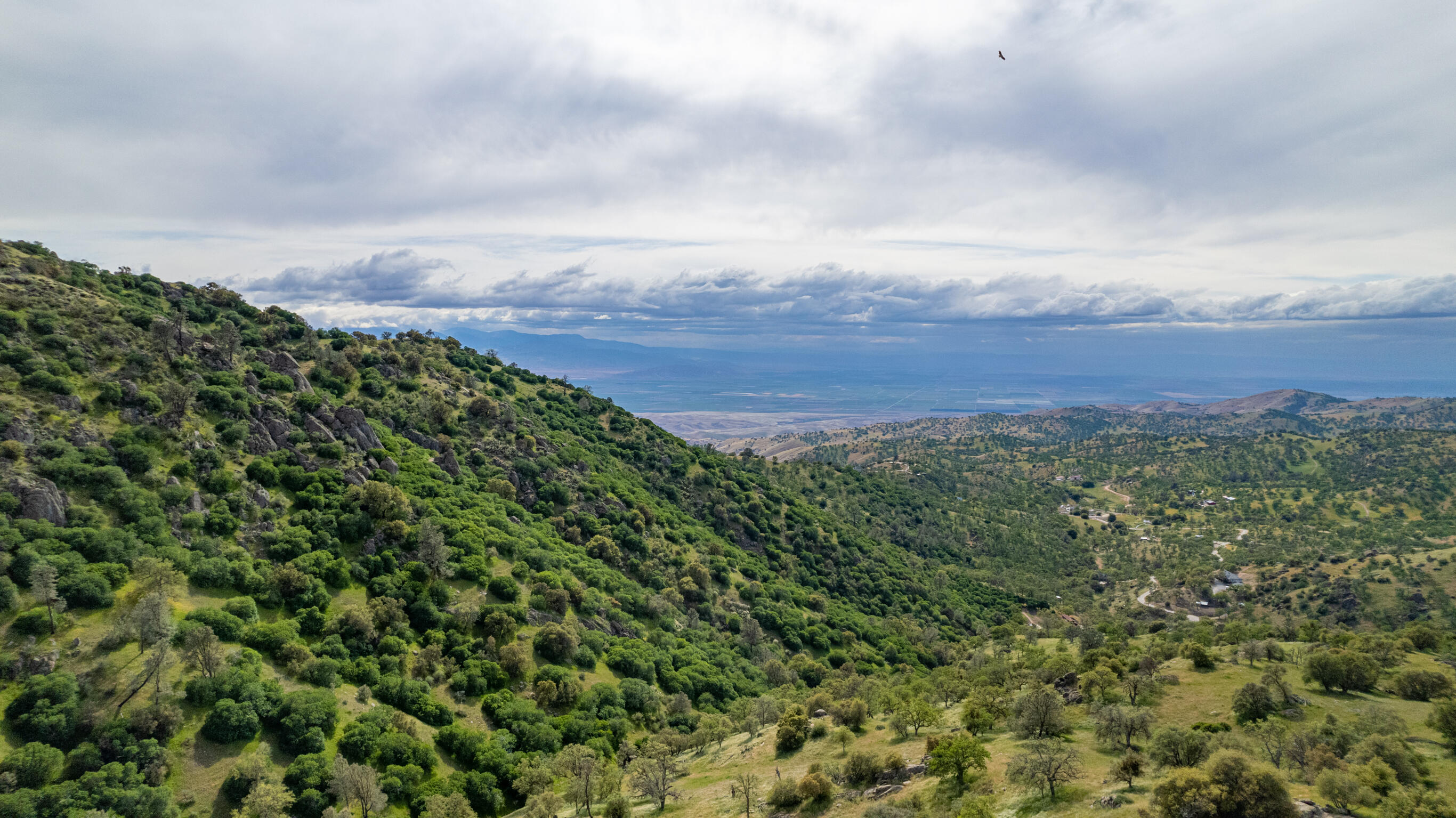Peregrine Place Tehachapi, CA 93561 - Photo 12 of 16 an aerial view of a houses with a yard and mountain view in back