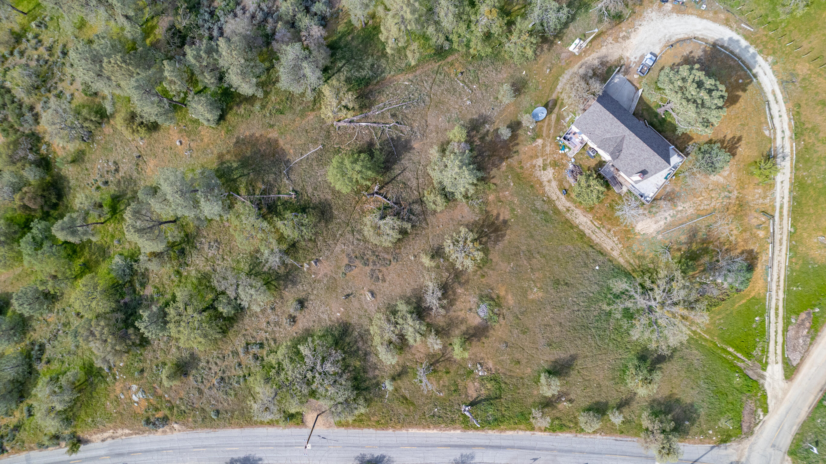 Peregrine Place Tehachapi, CA 93561 - Photo 3 of 16 a picture of a tree