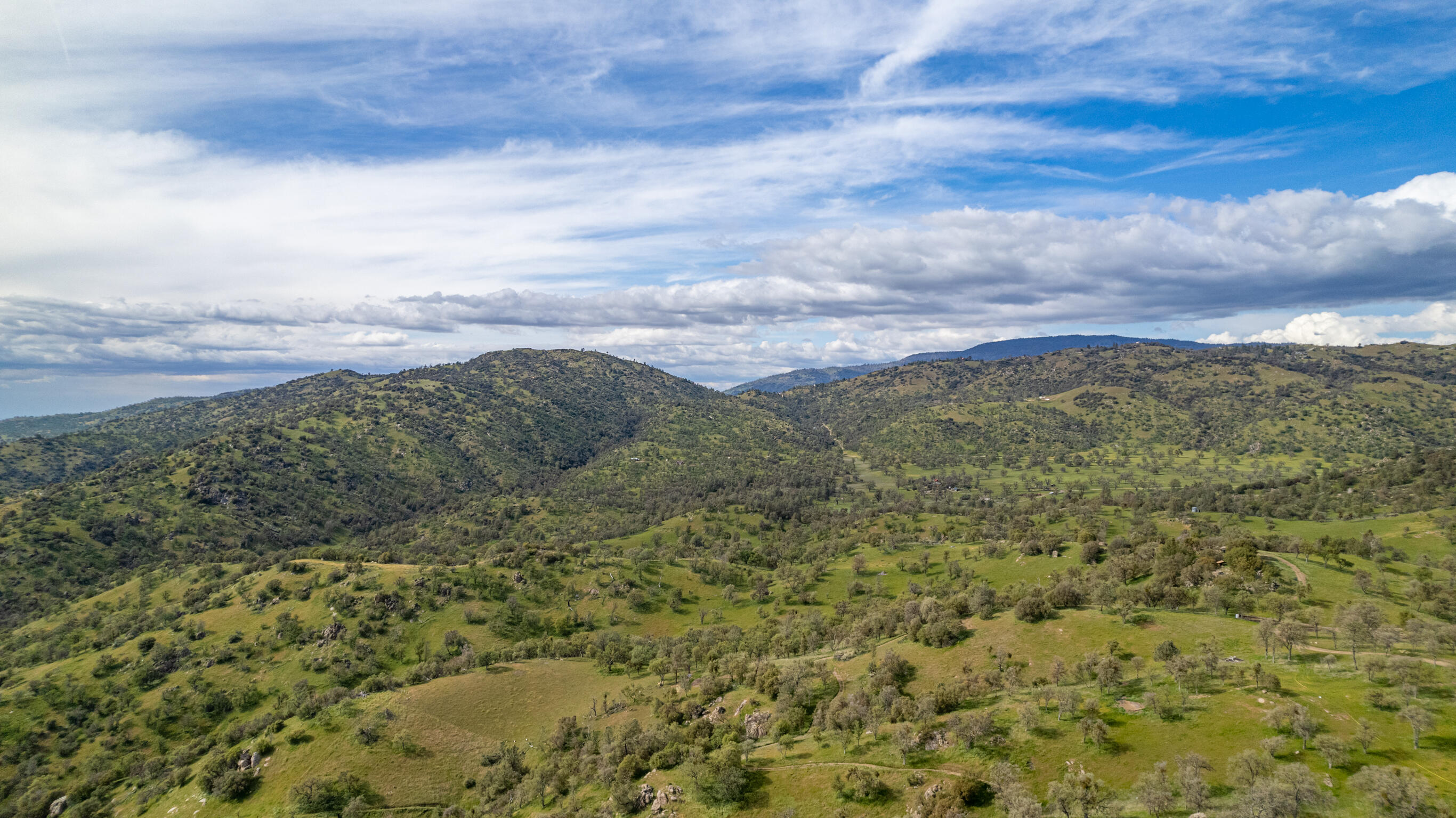 Peregrine Place Tehachapi, CA 93561 - Photo 9 of 16 a view of a bunch of trees and bushes