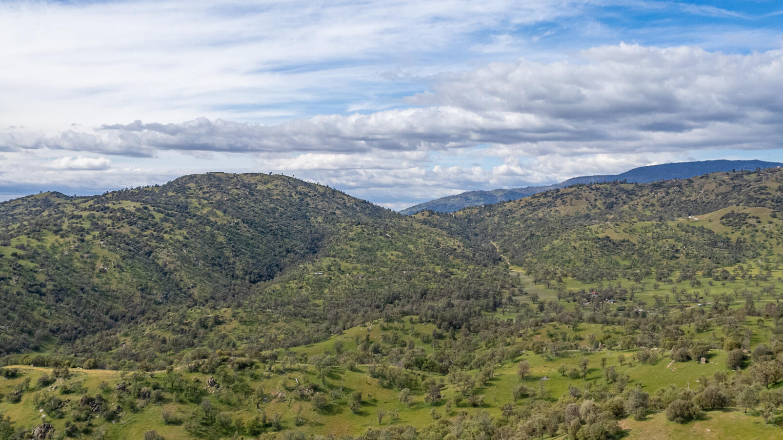 Peregrine Place Tehachapi, CA 93561 - Photo 10 of 16 a view of a dry yard with lots of trees