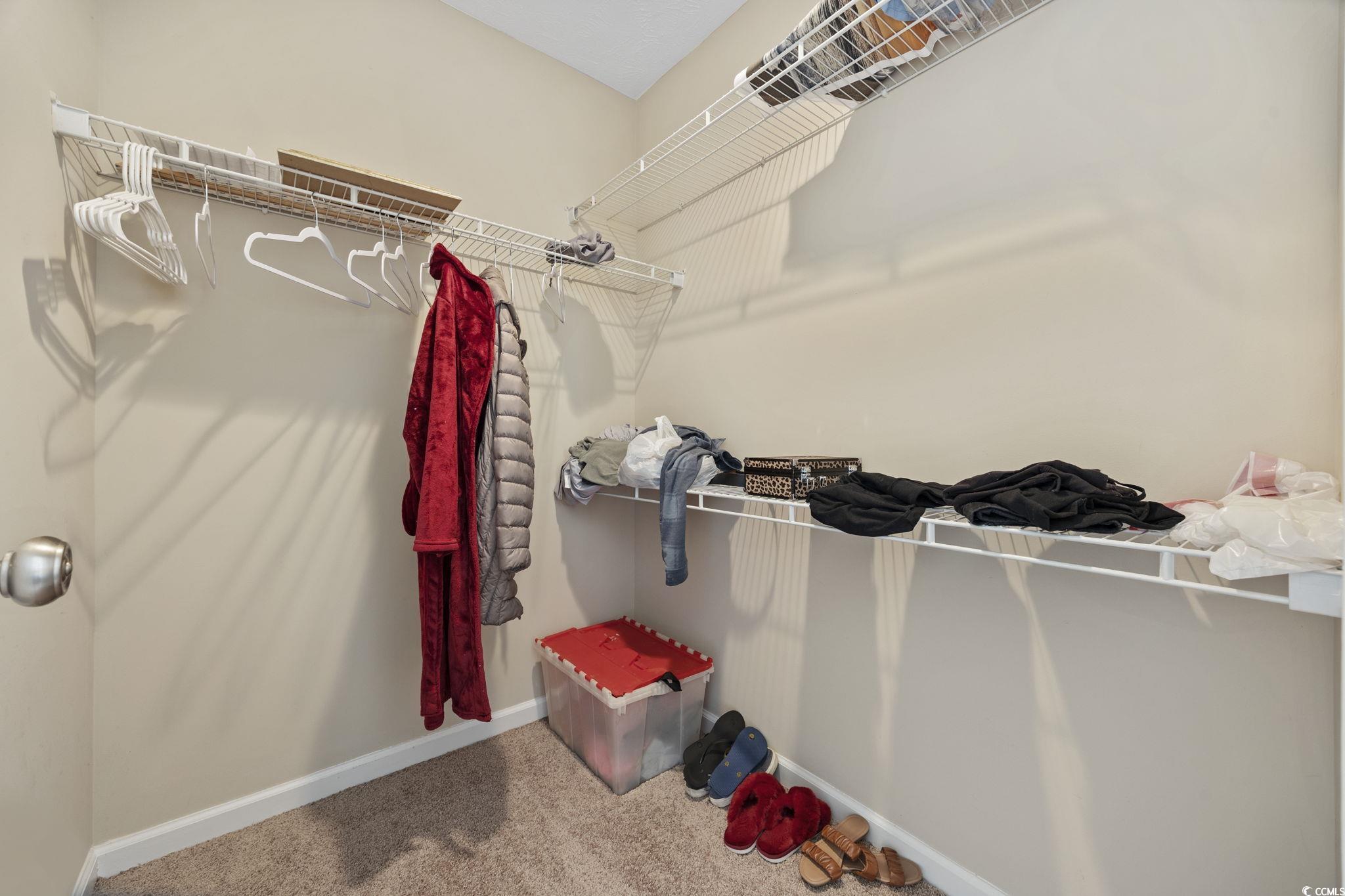 2902 Silverleaf Circle Loris, SC 29569 - Photo 17 of 38 Spacious closet with carpet