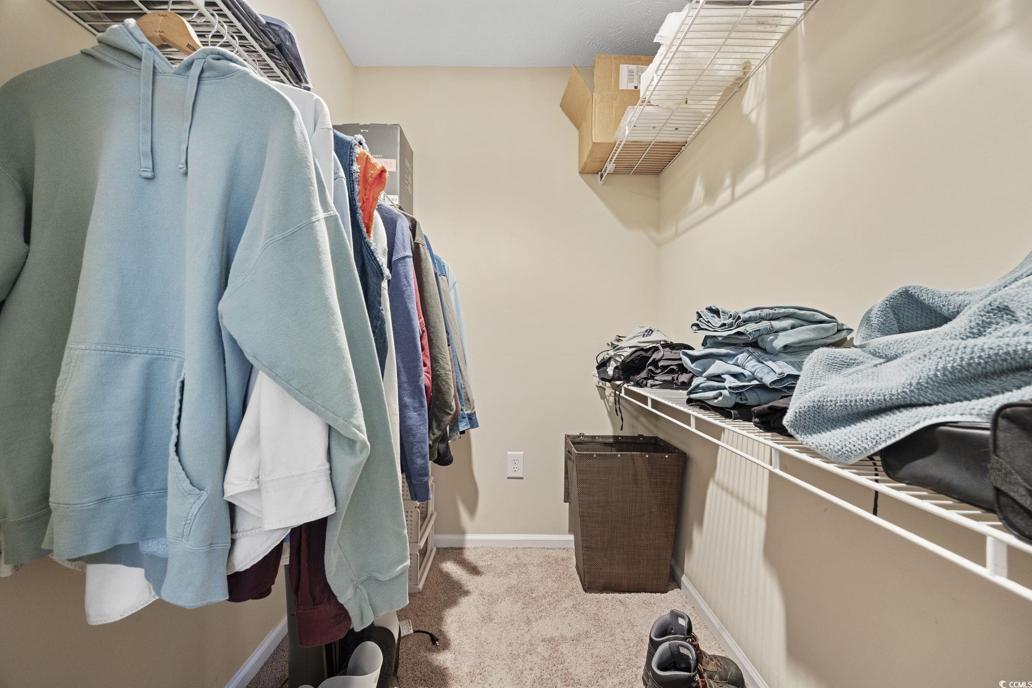 2902 Silverleaf Circle Loris, SC 29569 - Photo 18 of 38 Spacious closet with light colored carpet