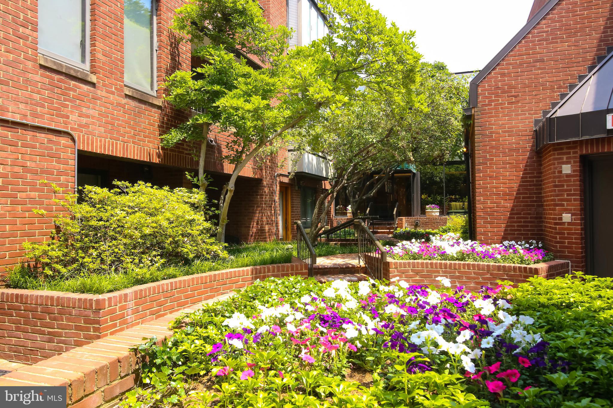 1080 Wisconsin Avenue Northwest, Unit 2001 Washington, DC 20007 - Photo 14 of 27 Lovely Gardens in Inner Courtyard of Building