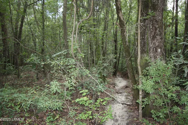 $21,000 | 60 Wadley Street, Estill, SC 29918