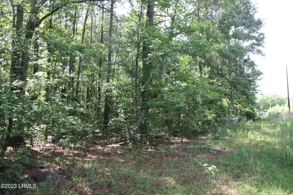 $21,000 | 60 Wadley Street, Estill, SC 29918