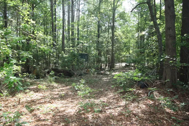 $21,000 | 60 Wadley Street, Estill, SC 29918