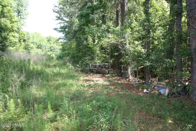 $21,000 | 60 Wadley Street, Estill, SC 29918