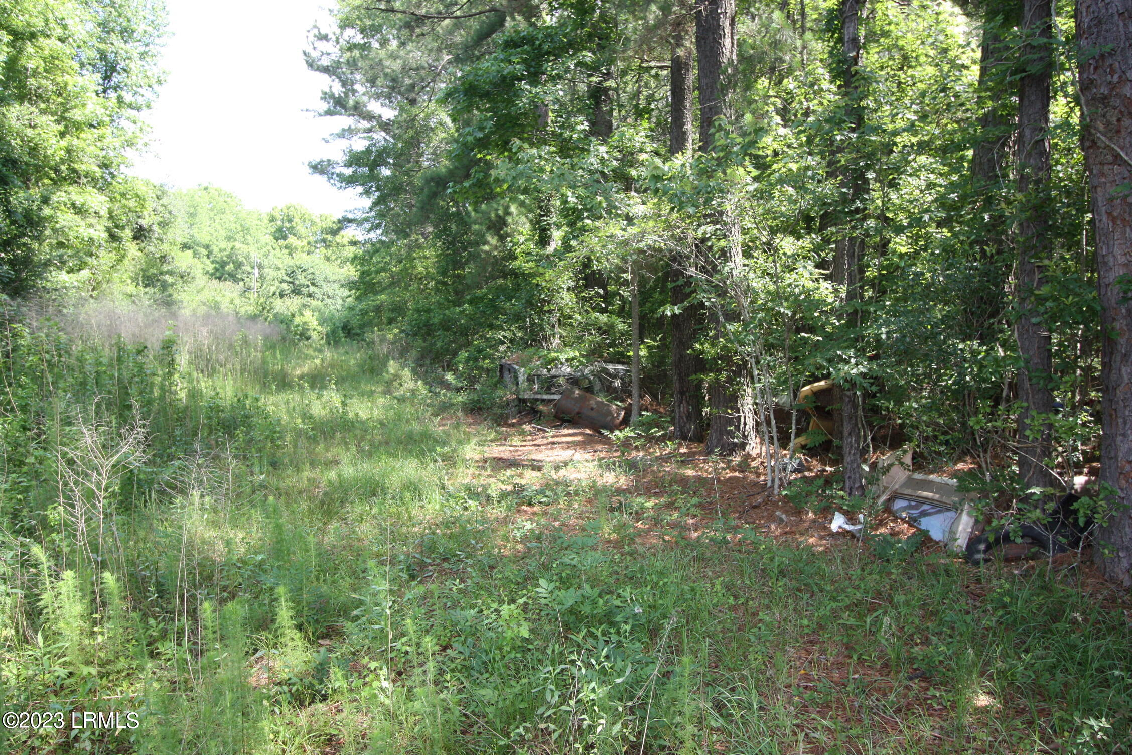 60 Wadley Street Estill, SC 29918 - Photo 6 of 8 IMG_8248