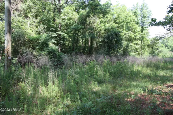 $21,000 | 60 Wadley Street, Estill, SC 29918
