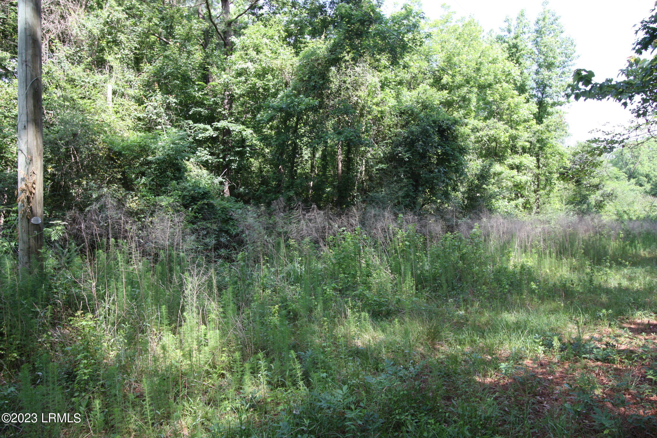 60 Wadley Street Estill, SC 29918 - Photo 7 of 8 IMG_8249