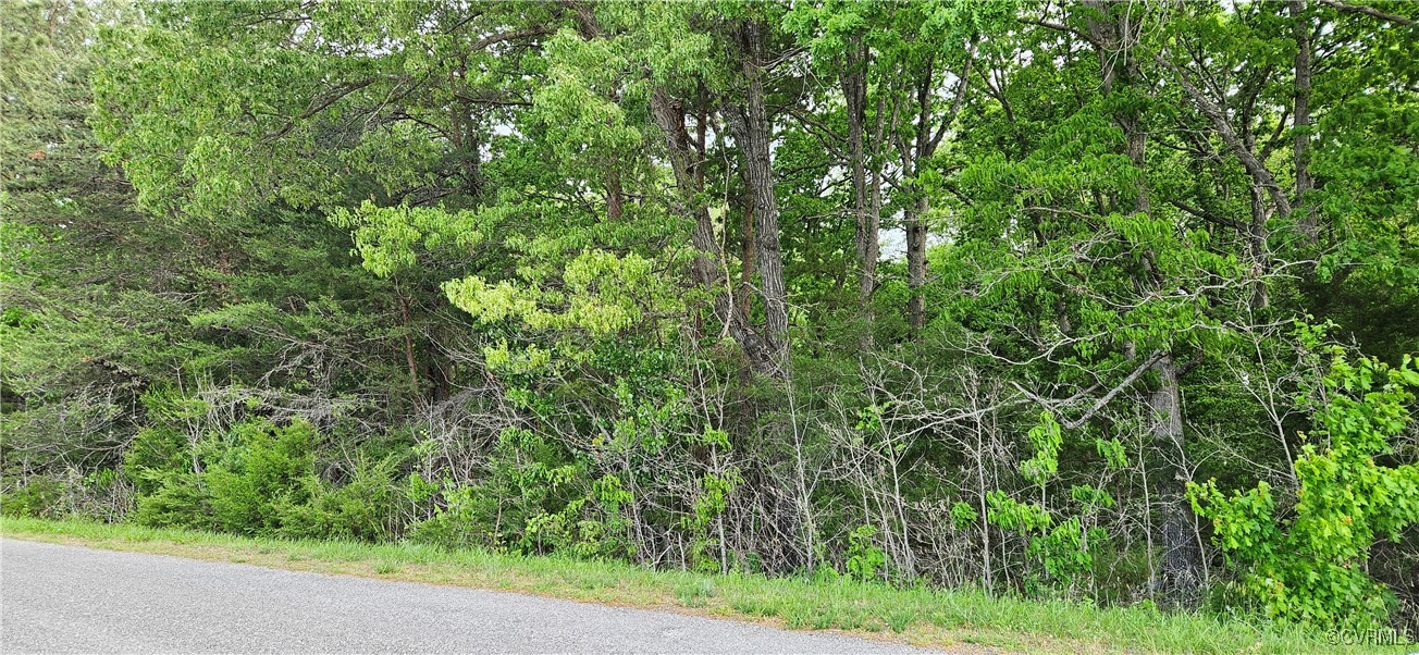 10-1 Good Hope Road Crewe, VA 23930 - Photo 1 of 2 Gallery Image 1