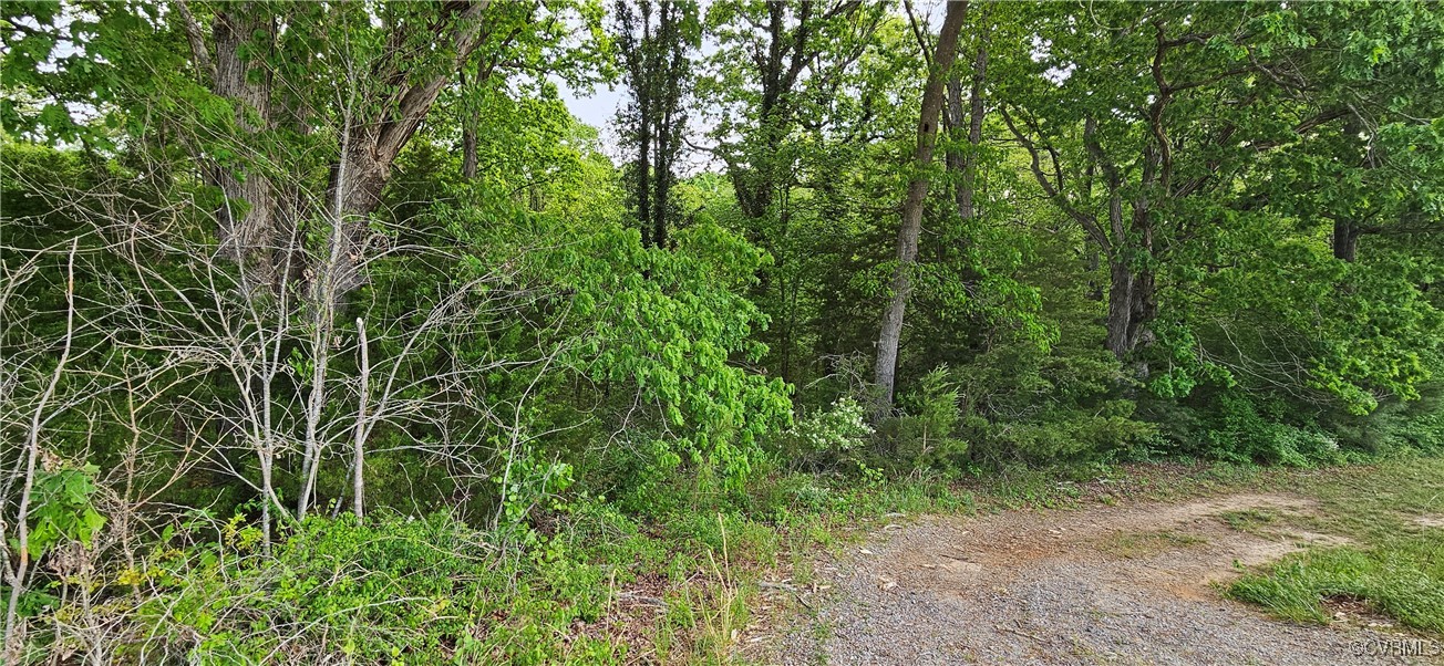 10-1 Good Hope Road Crewe, VA 23930 - Photo 2 of 2 Gallery Image 2