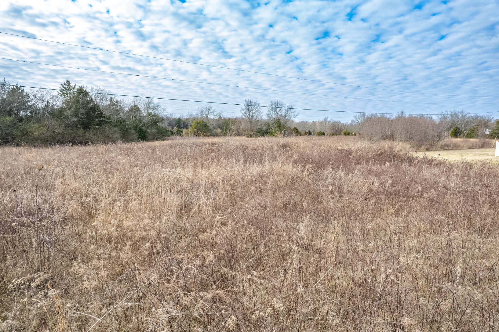 1916 Word Road Lewisburg, TN 37091 - Photo 60 of 69