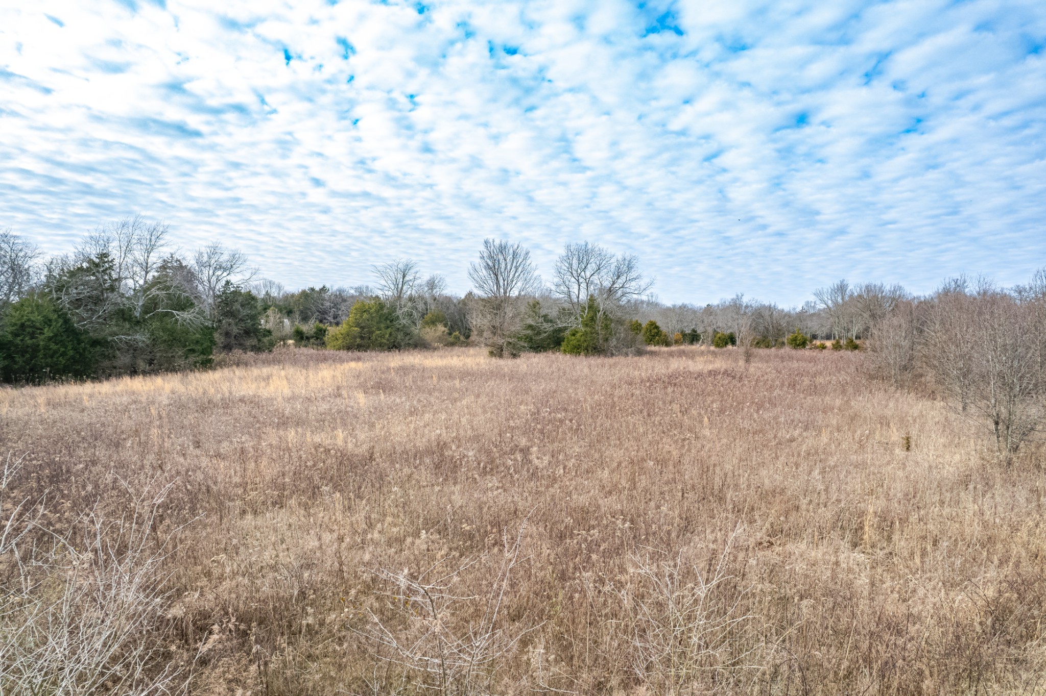 1916 Word Road Lewisburg, TN 37091 - Photo 64 of 69 a view of a field with trees in background