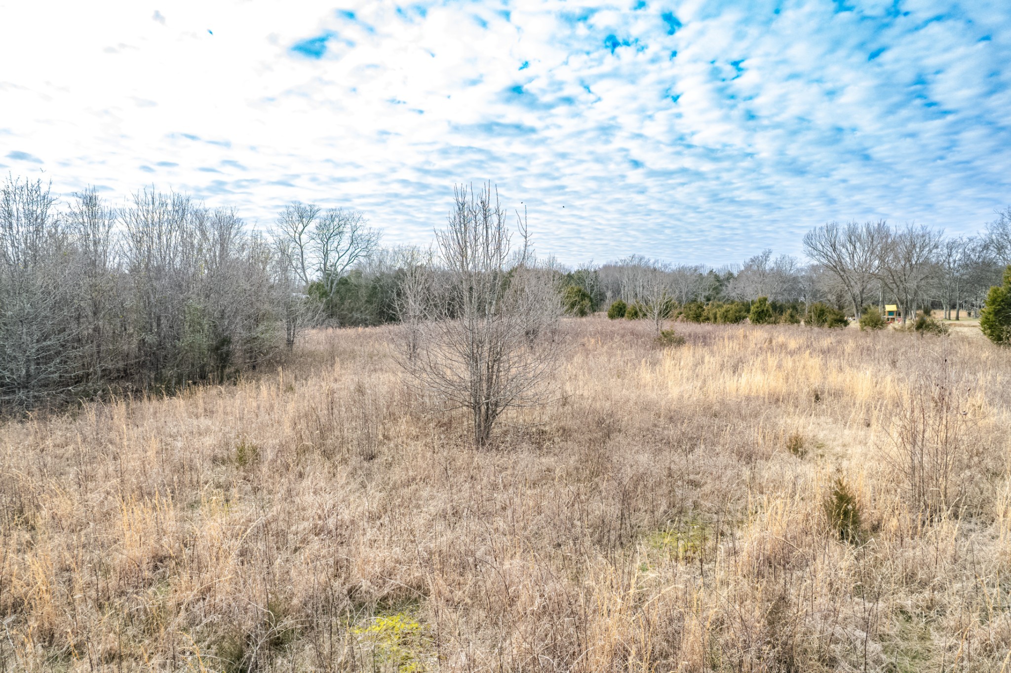 1916 Word Road Lewisburg, TN 37091 - Photo 68 of 69 a view of a lake with houses in the back